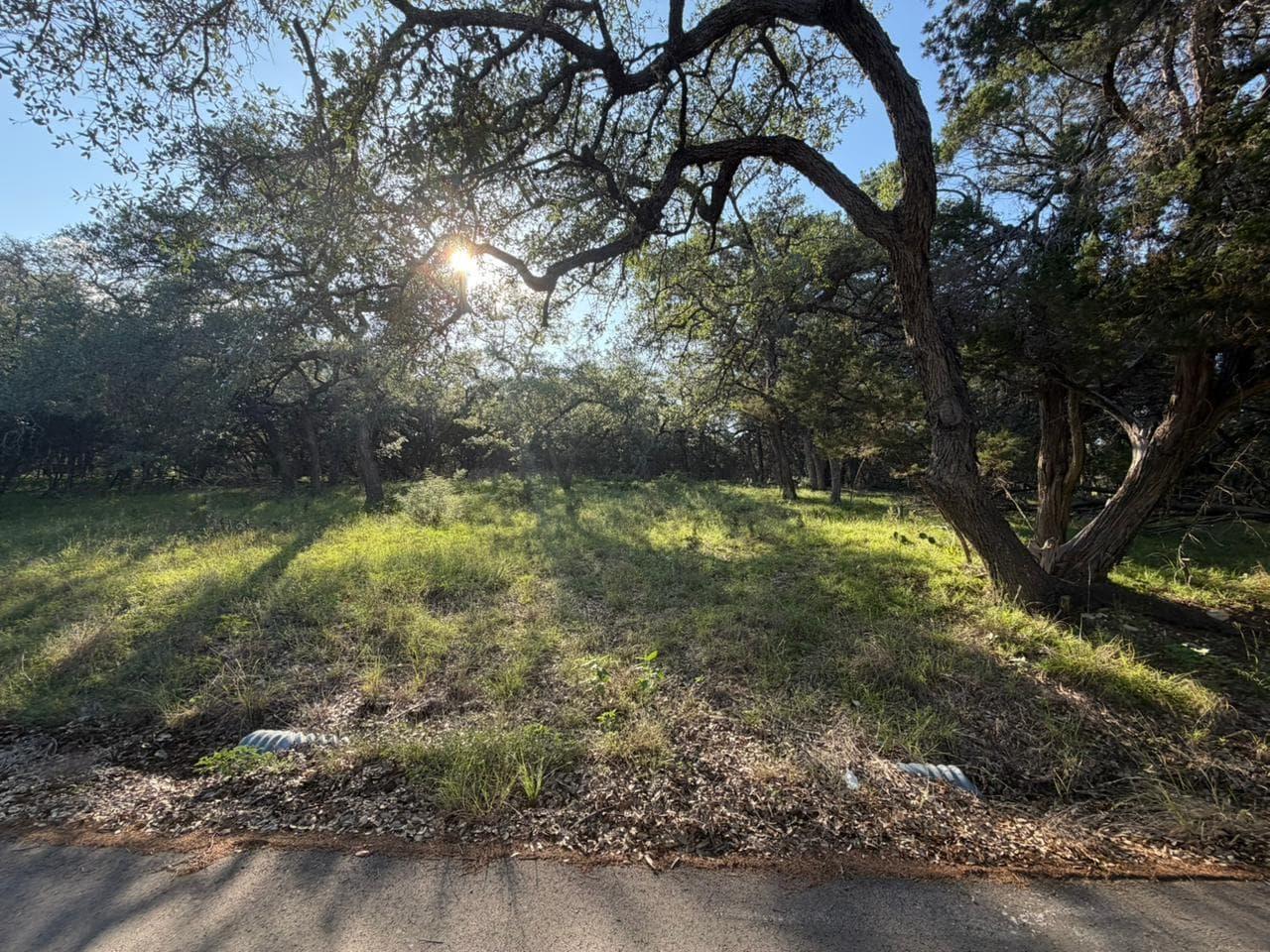1206  Fawn Park photo 3