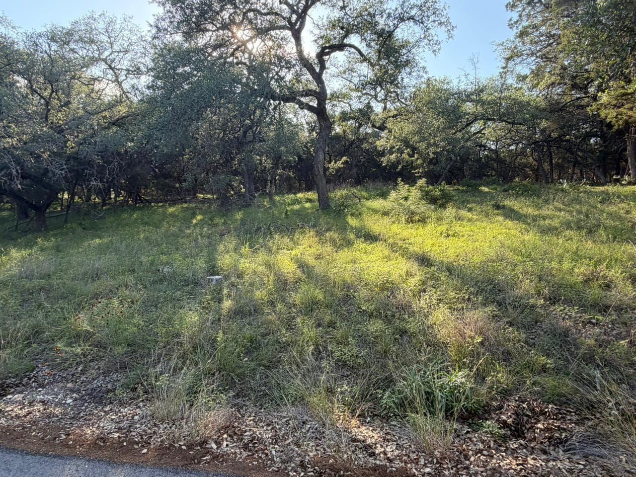 1206  Fawn Park photo 4