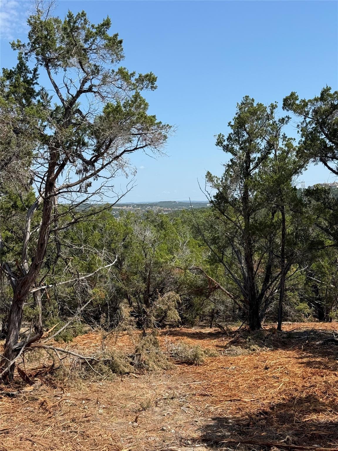 0000  Bee Creek Rd photo 6