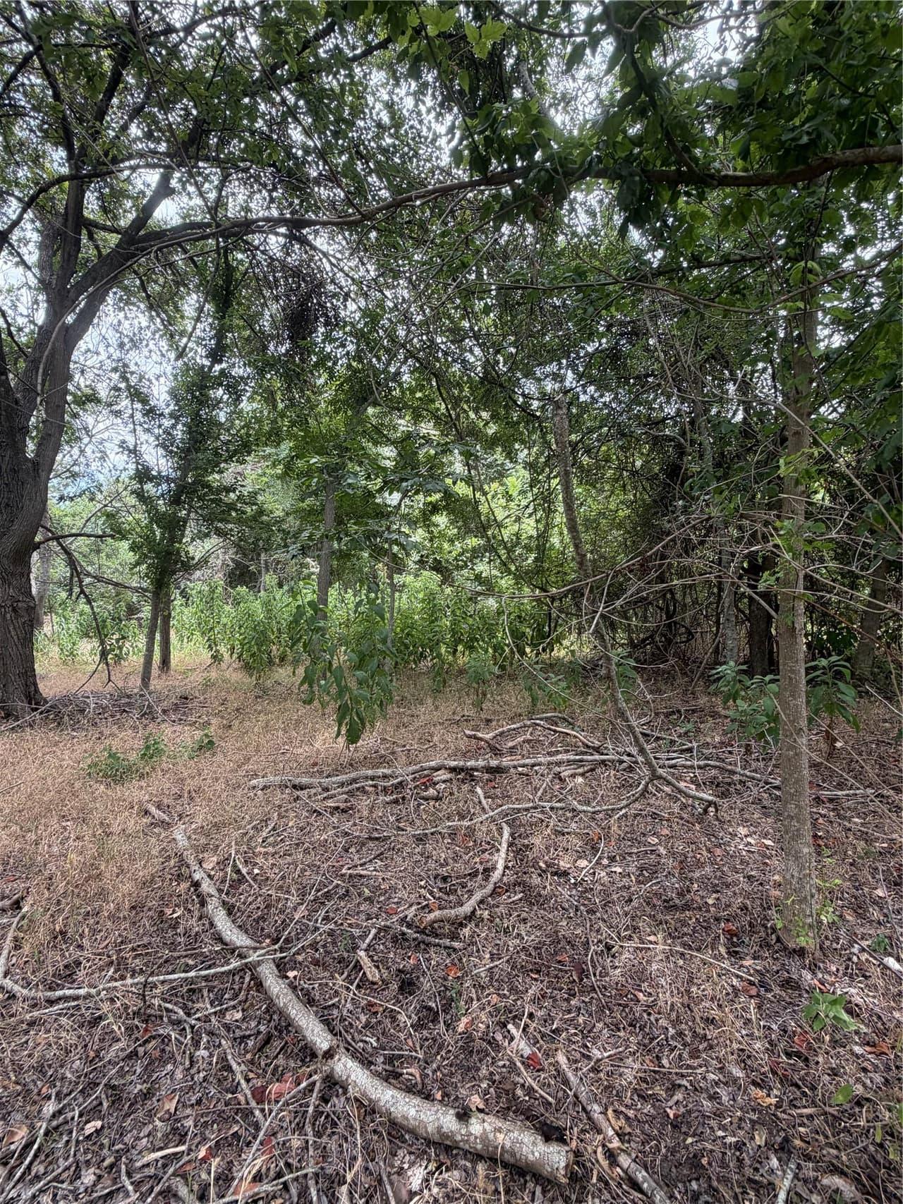 161  Kahana Ln photo 5