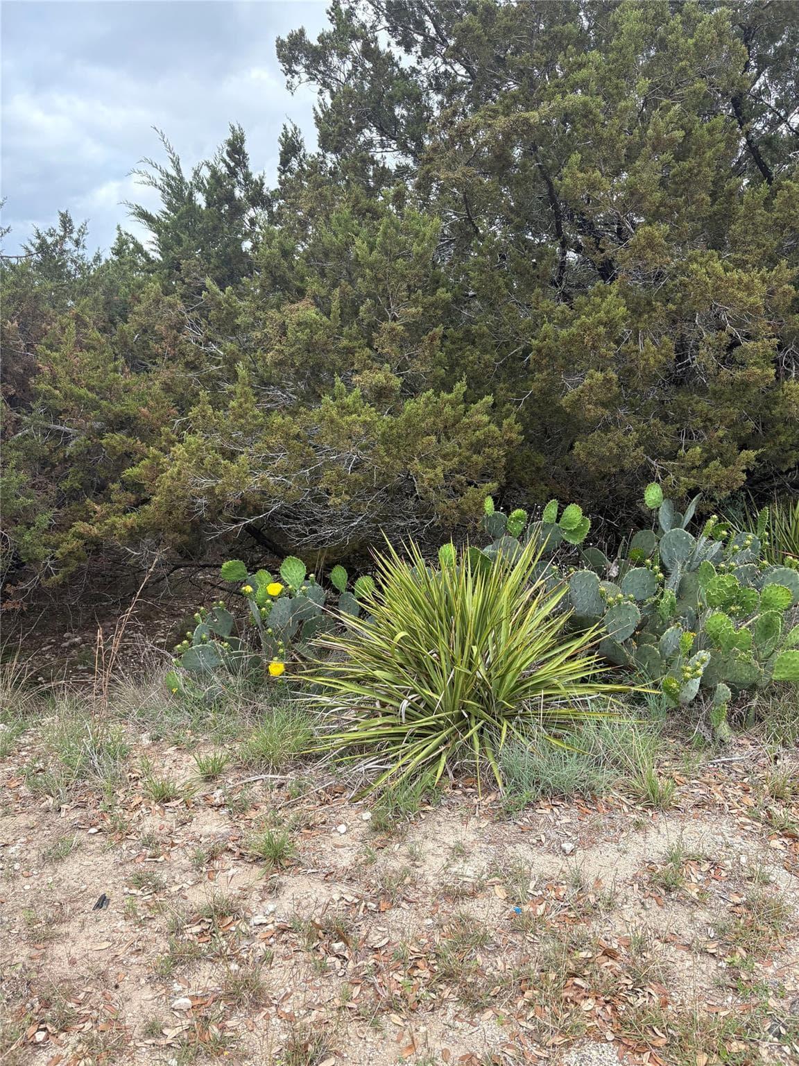 20905  Magellan Cv photo 3