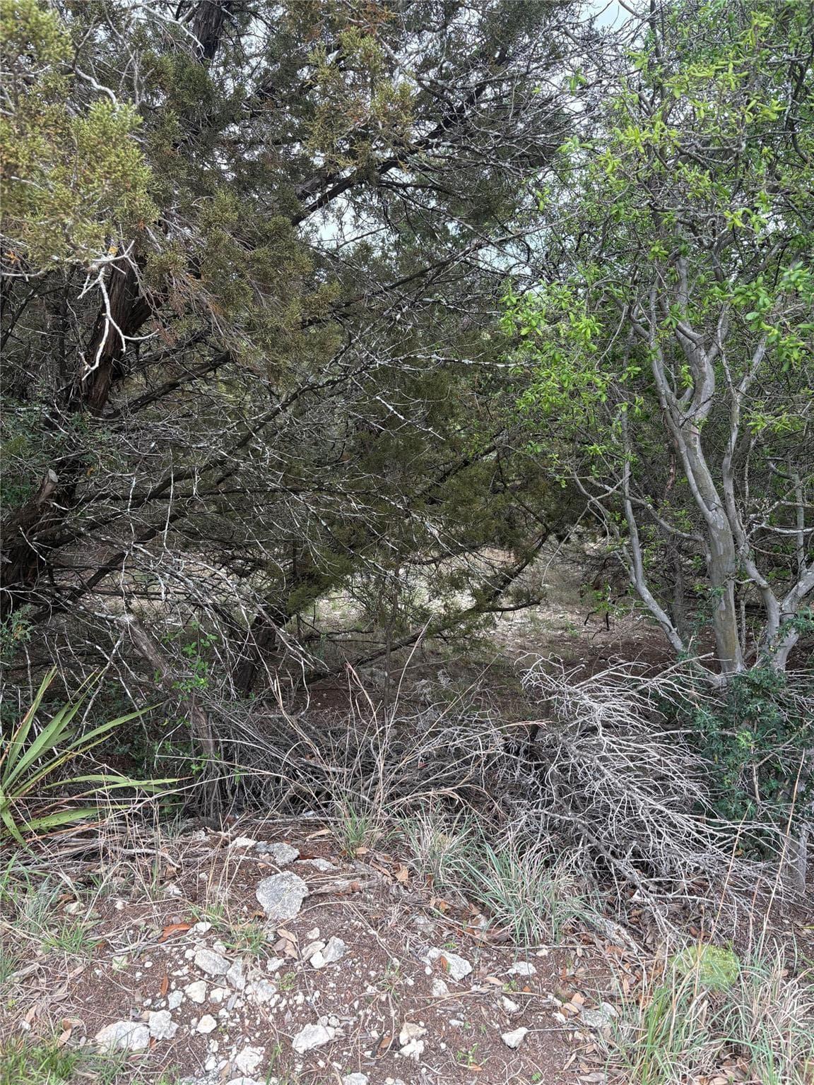 20905  Magellan Cv photo 5