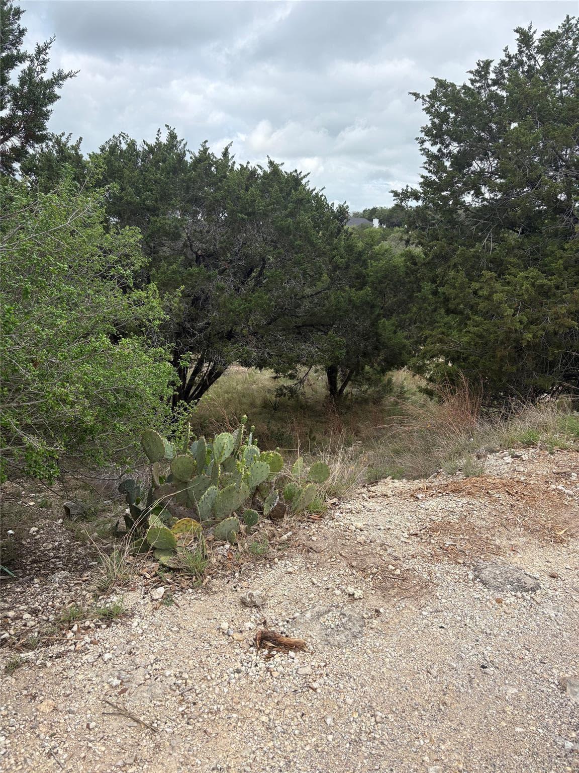 20907  Magellan Cv photo 2