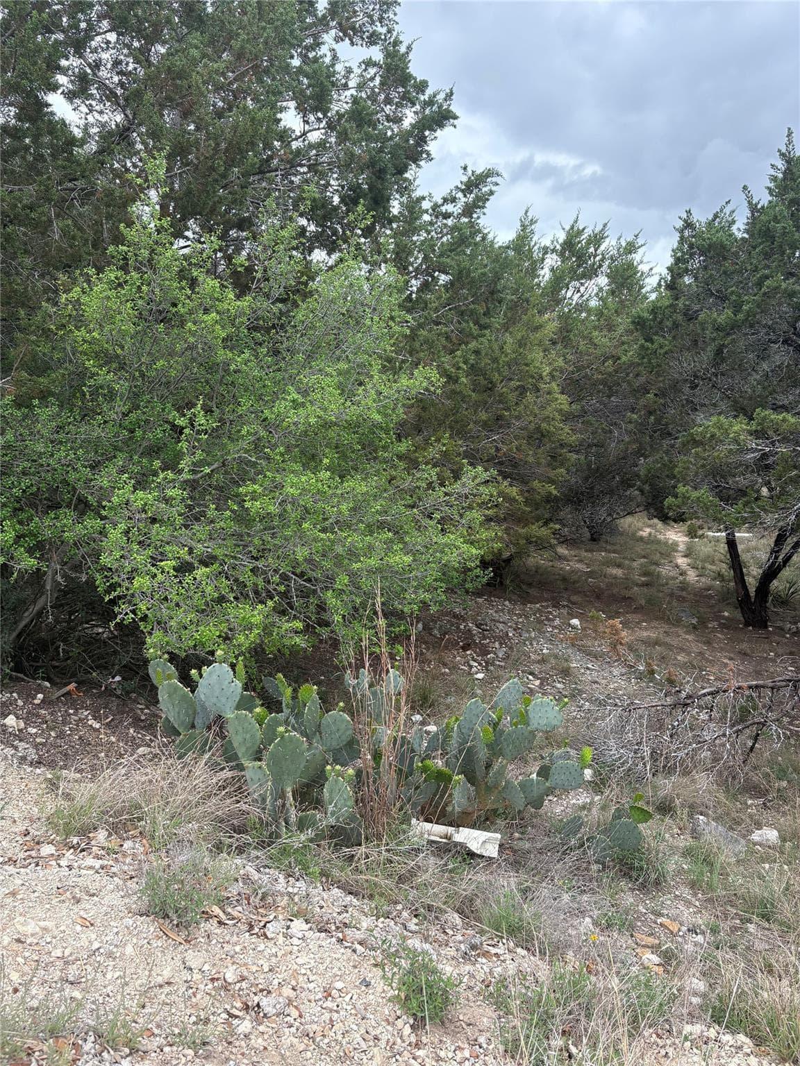 20907  Magellan Cv photo 6