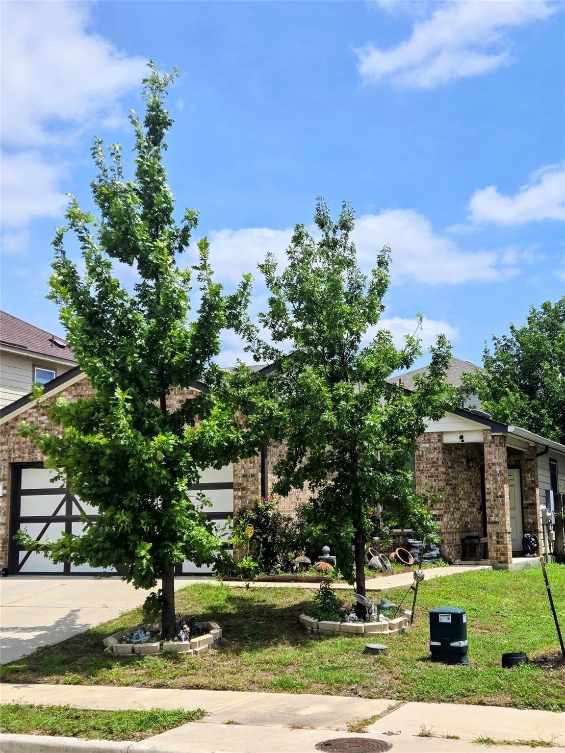 910  Solitude Dr photo 2