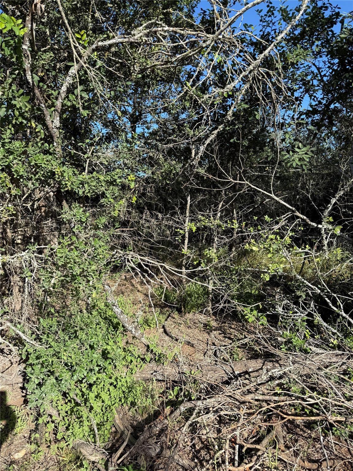 152  Helemano Dr photo 2