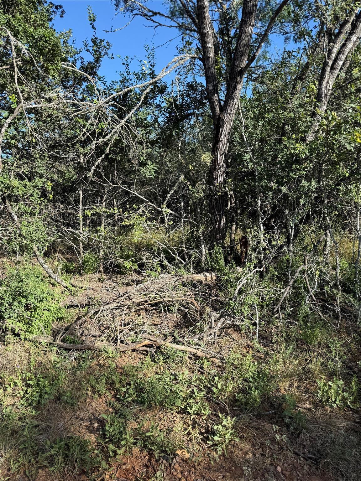 152  Helemano Dr photo 3
