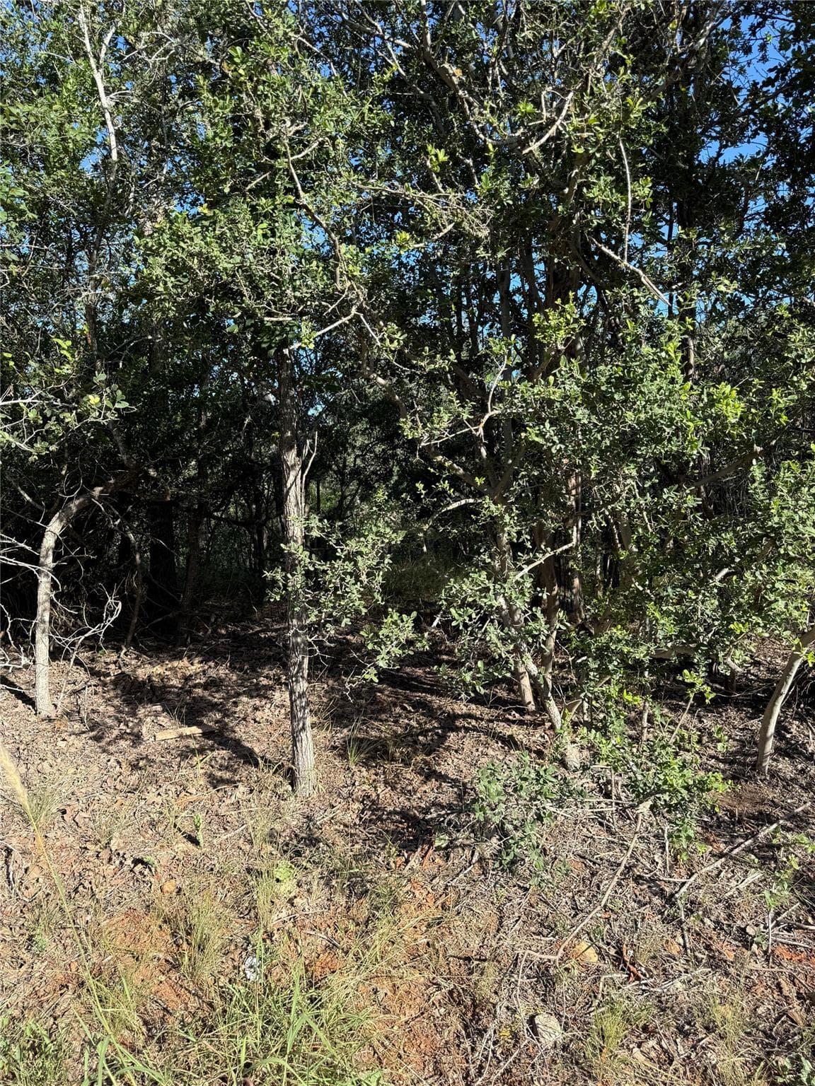 152  Helemano Dr photo 4