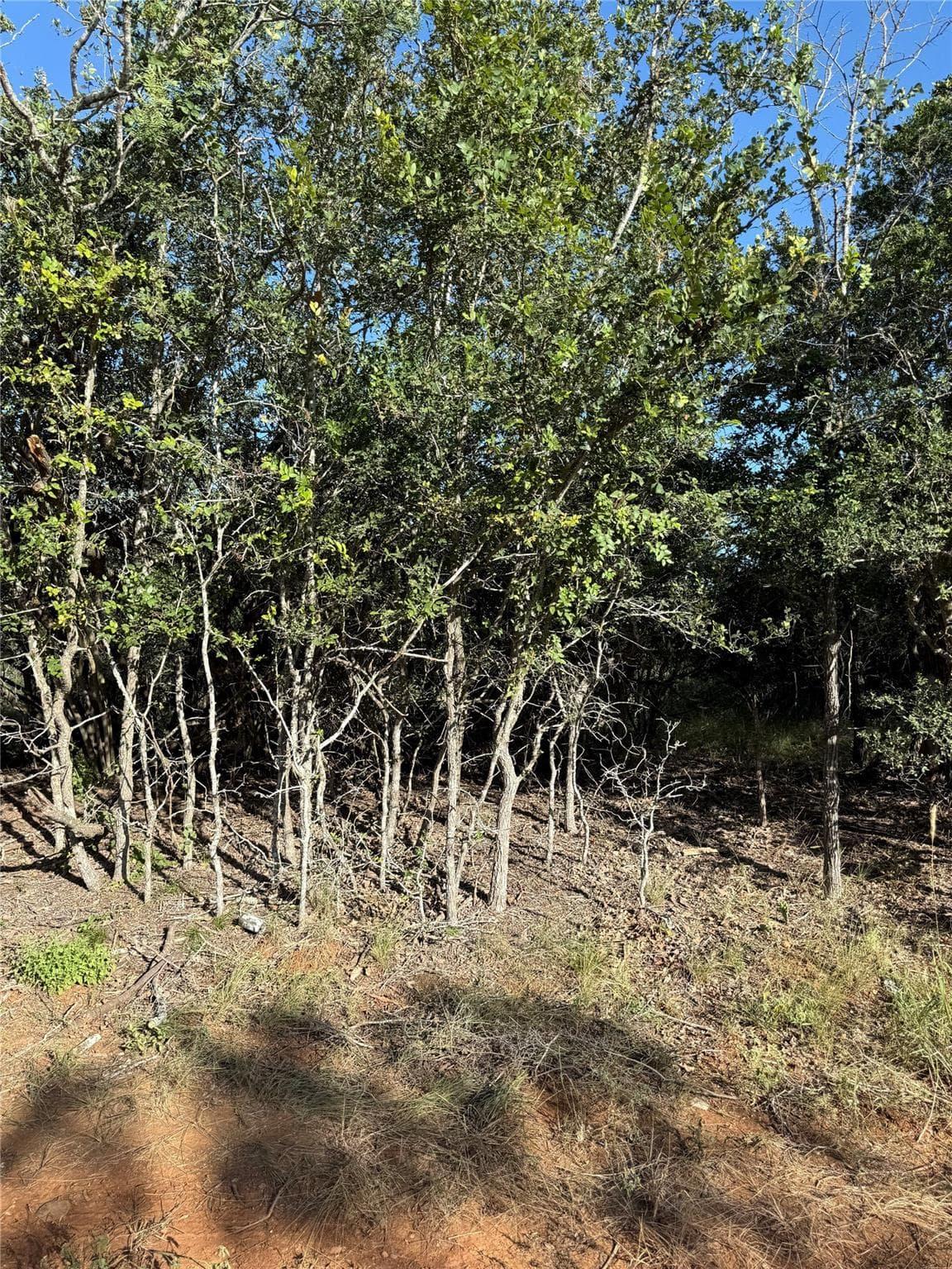 152  Helemano Dr photo 5