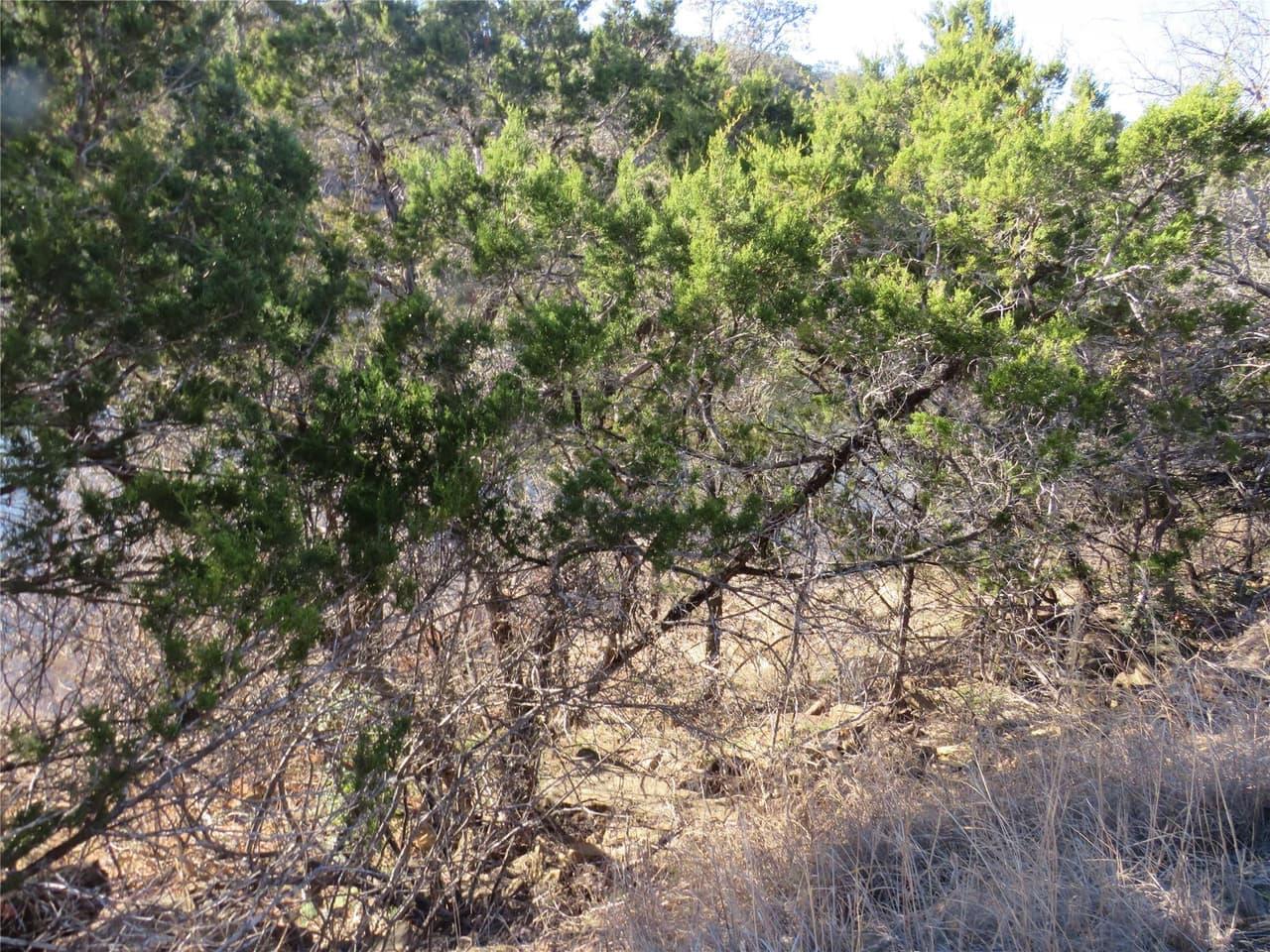 TBD LOT 25  SUNSET CLIFF Rd photo 3