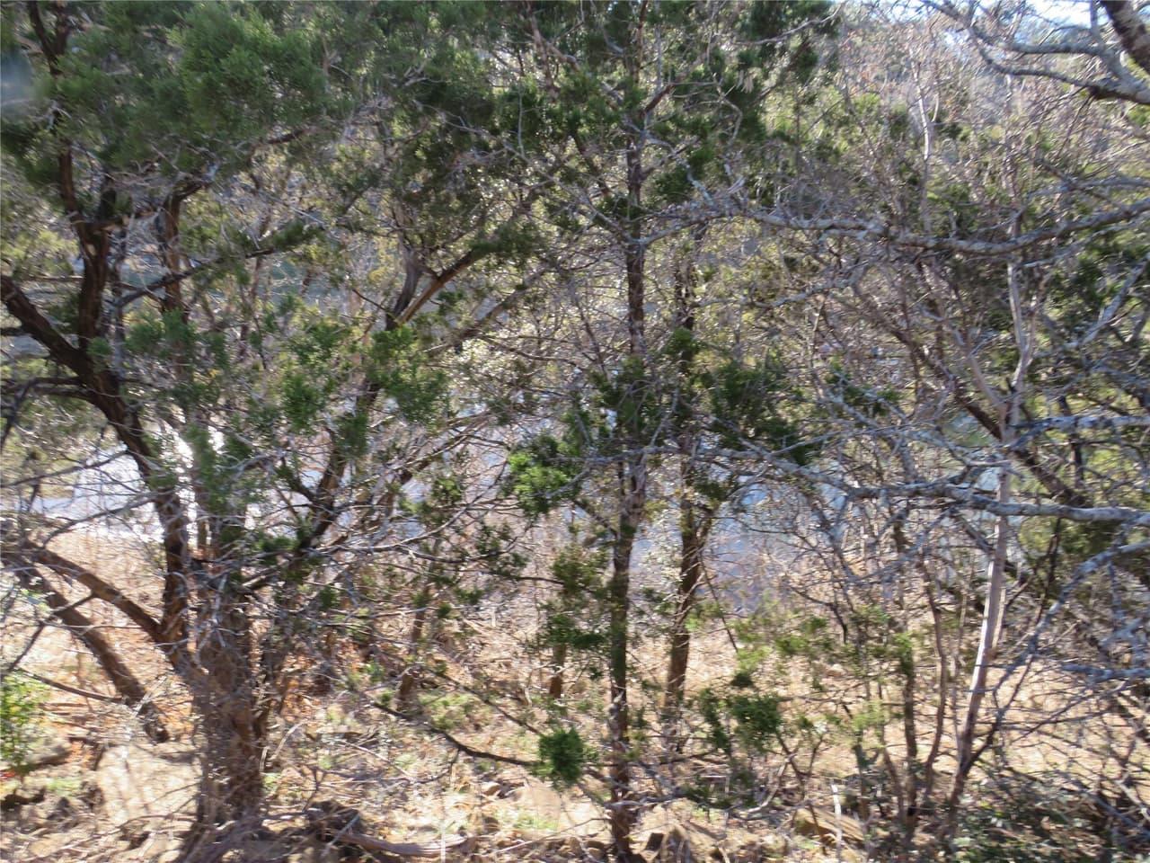 TBD LOT 25  SUNSET CLIFF Rd photo 4