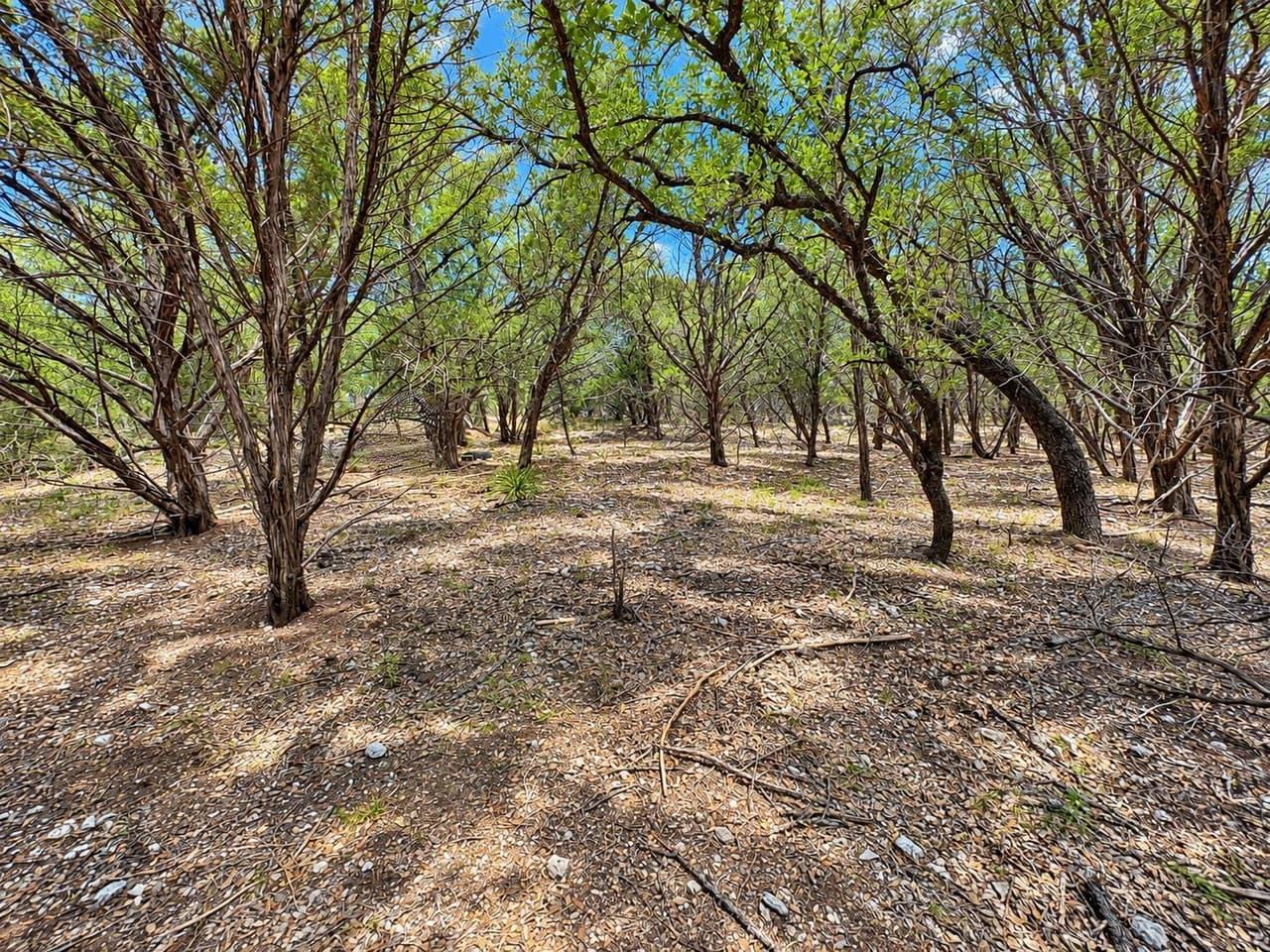 21004  Post Oak Dr photo 6