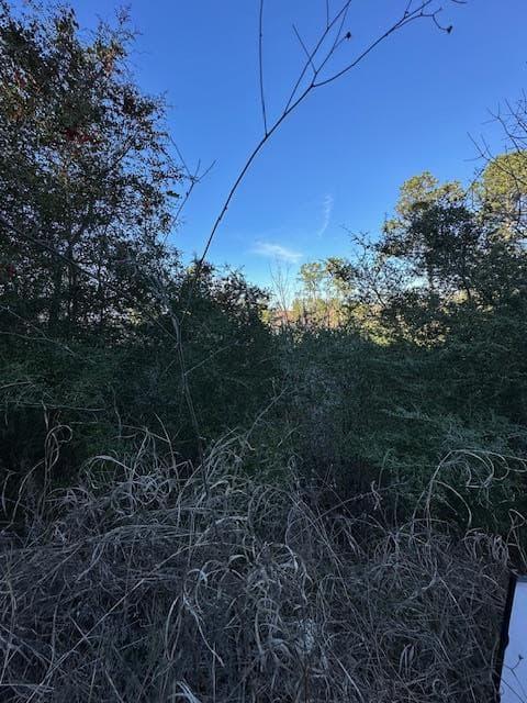 0 TBD  Kula Ct photo 3
