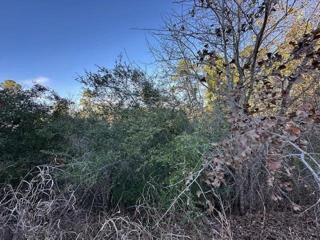 0 TBD  Kula Ct photo 4