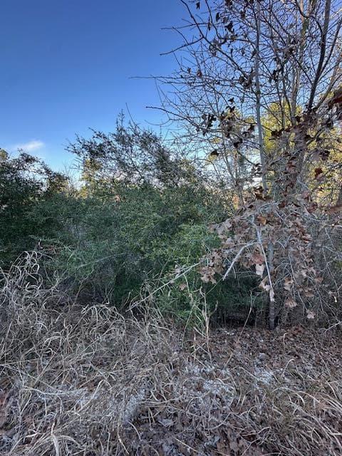 0 TBD  Kula Ct photo 5