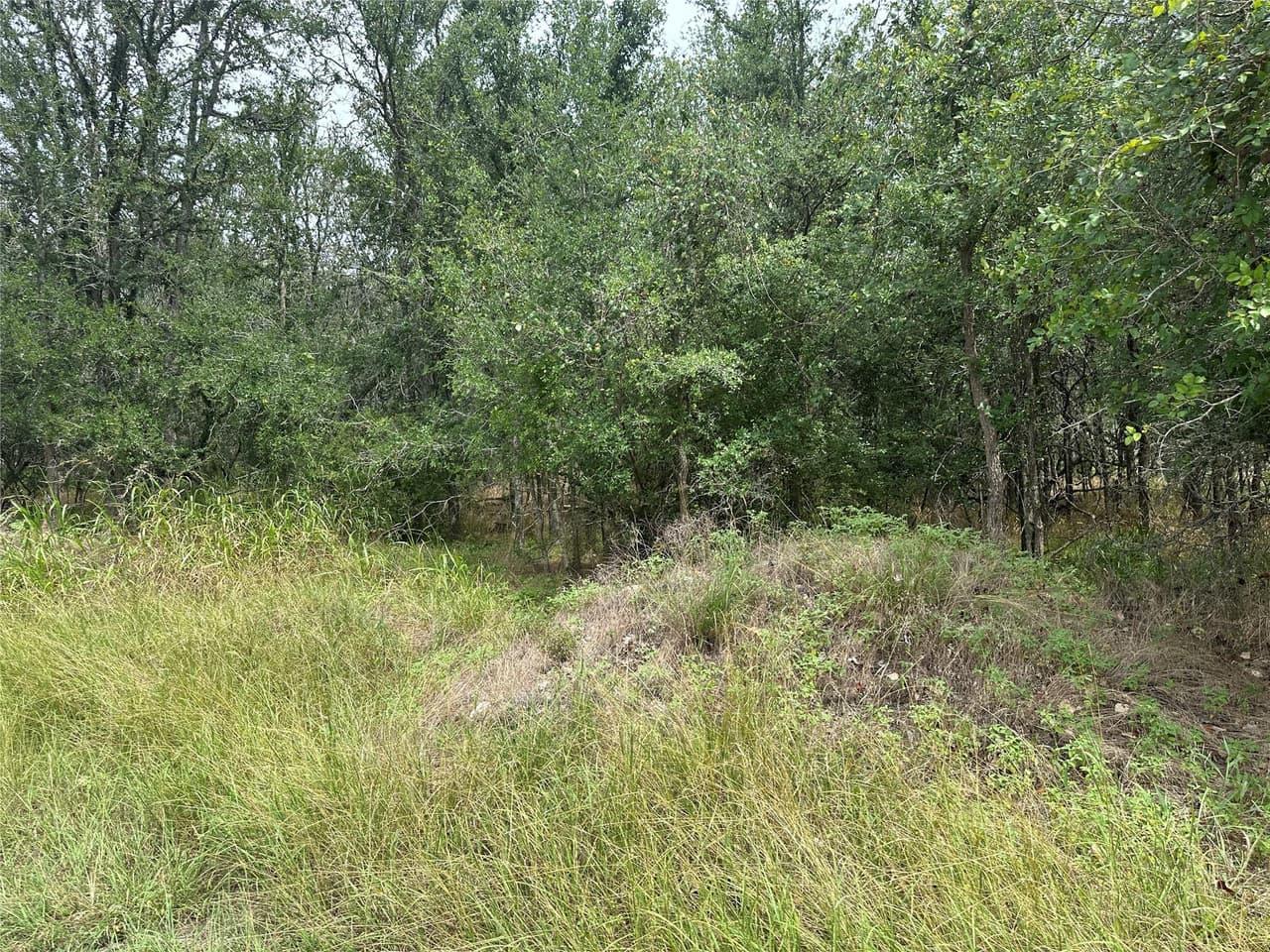 107  Halawa Ct photo 3