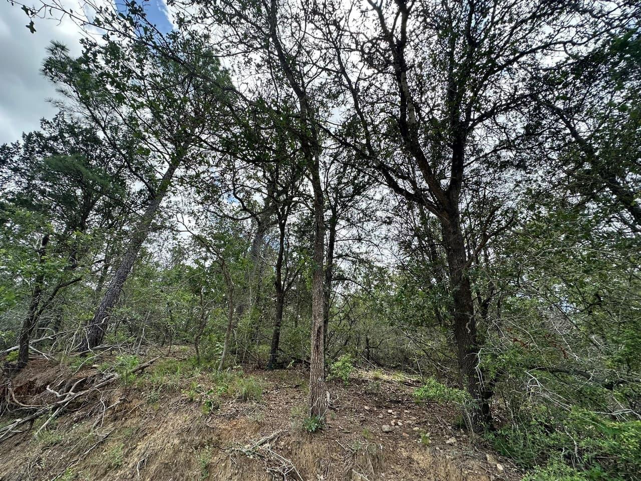 173  Kaaawa Ln photo 3