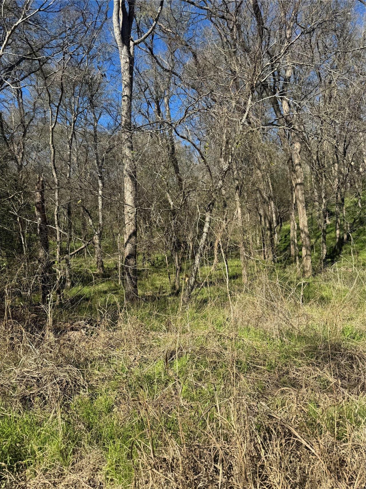 Lots 638. 639. 640  Kaukonahua Ln