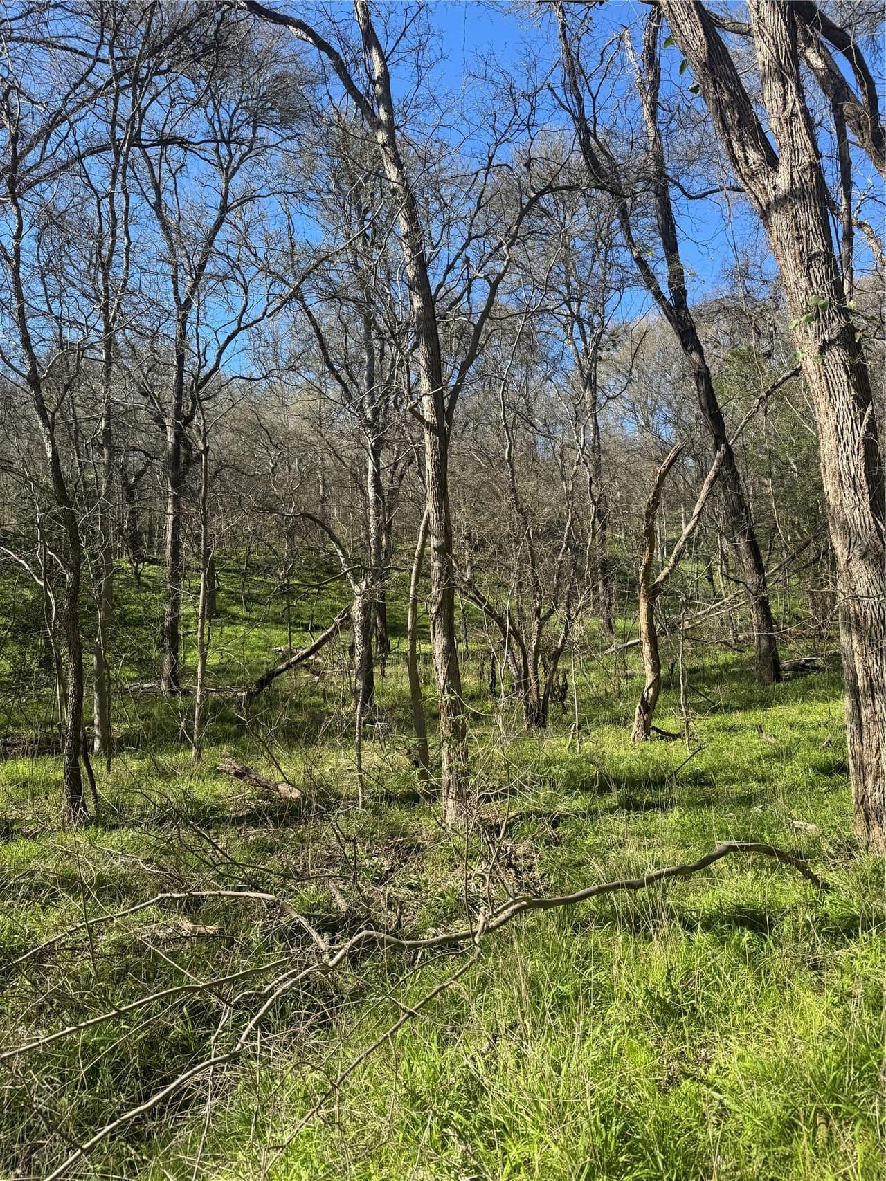 Lots 638. 639. 640  Kaukonahua Ln photo 5