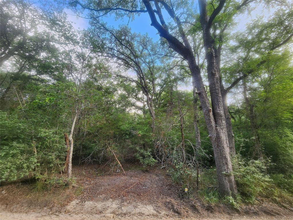 TBD  Post Oak Rim Dr photo 3