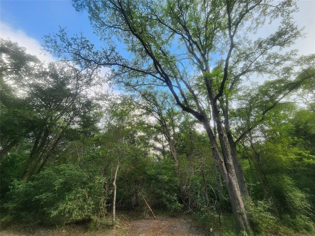 TBD  Post Oak Rim Dr photo 4
