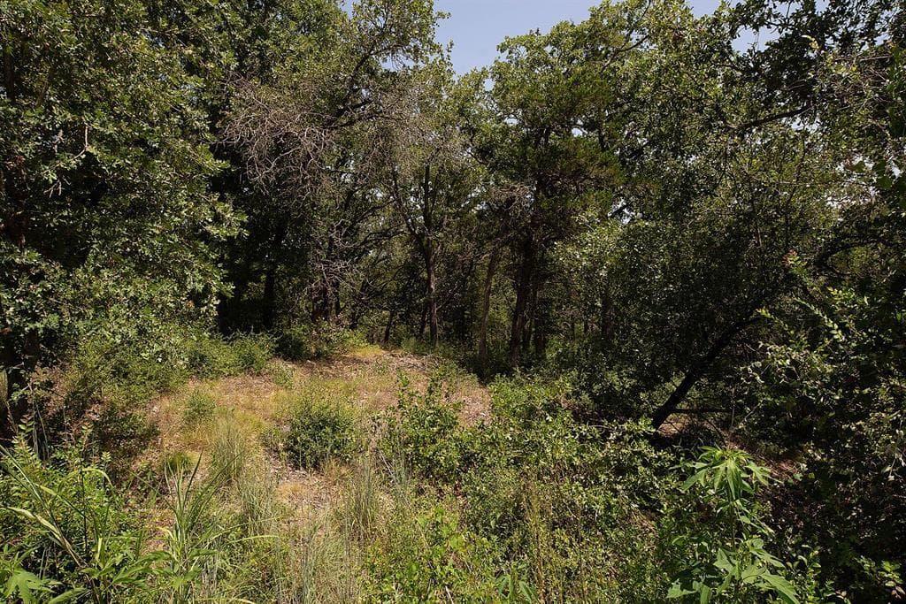 TBD  Post Oak Rim Dr photo 5