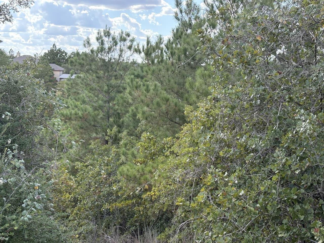 TBD Lot 35  Pinecrest Dr photo 2