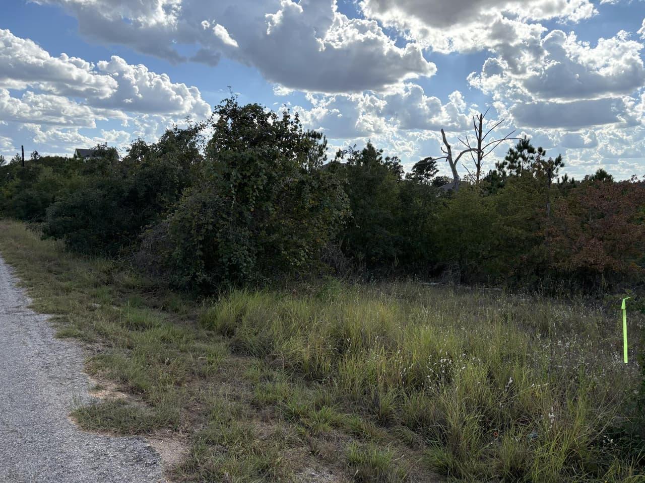 TBD Lot 35  Pinecrest Dr photo 4