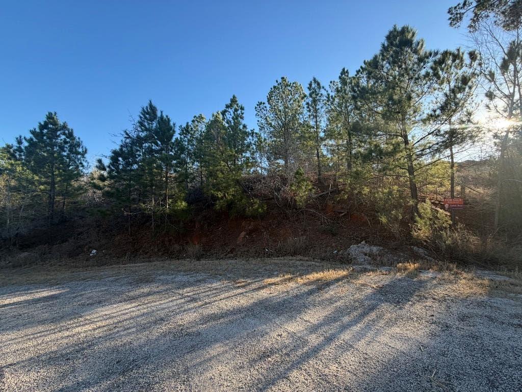 Lot 181  Keo Kea Ct photo 2