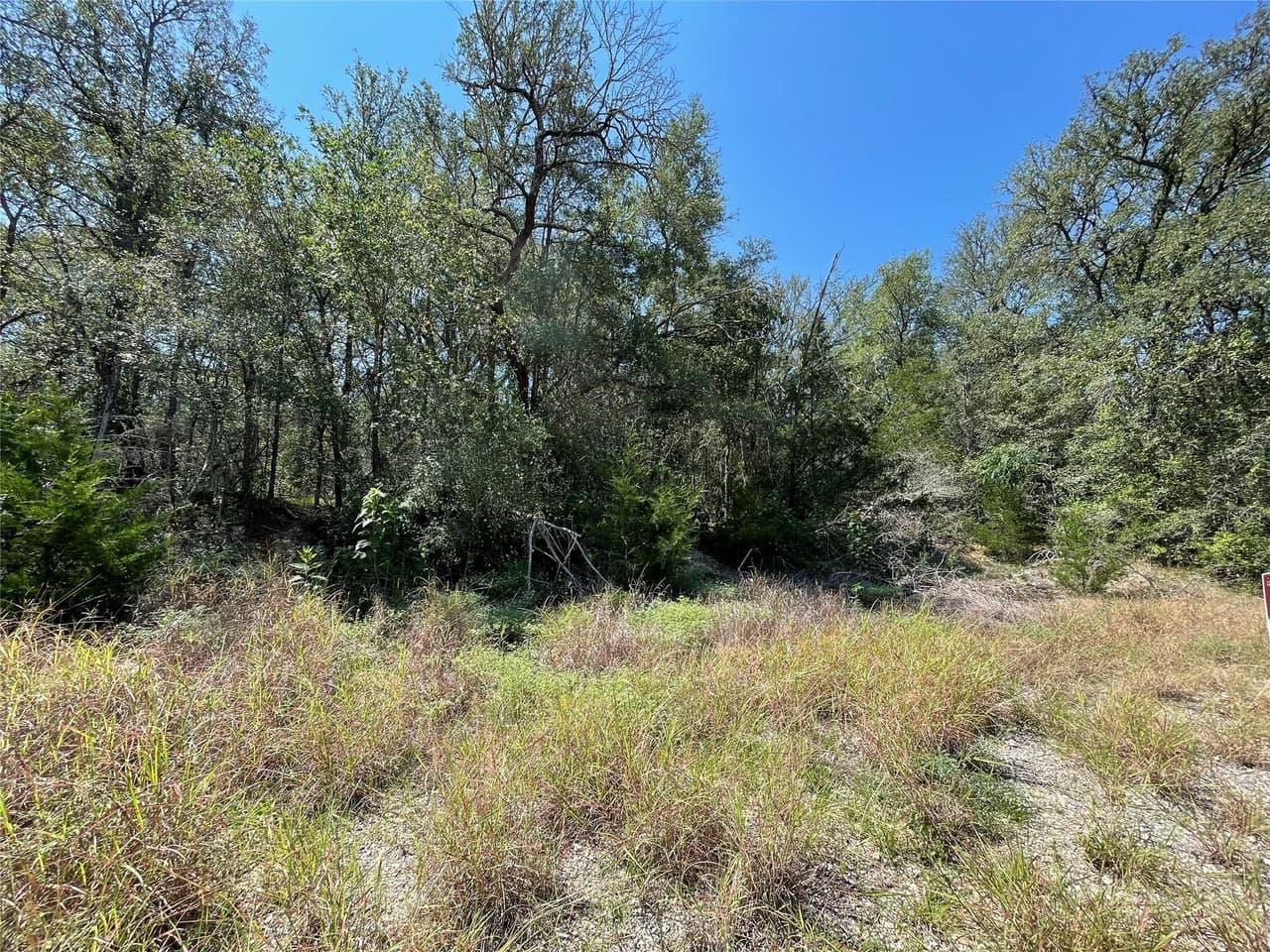 106  Waipio Ct photo 4