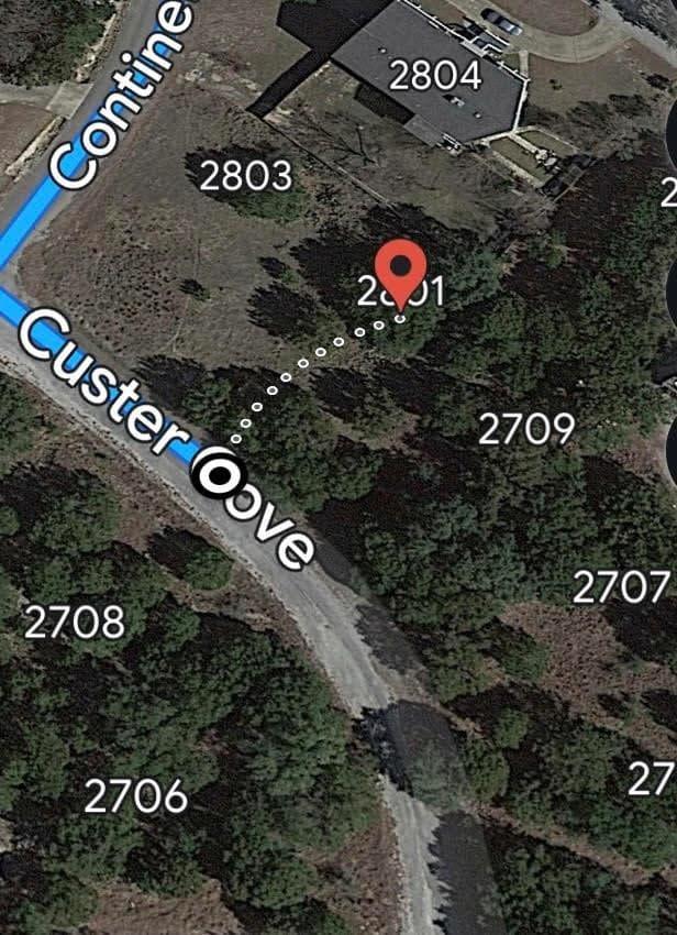 2801  Custer Cv photo 4
