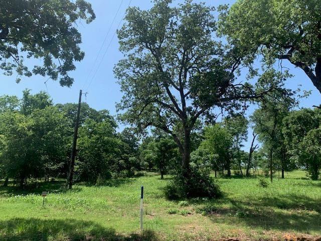 258  Colovista Pkwy photo 5