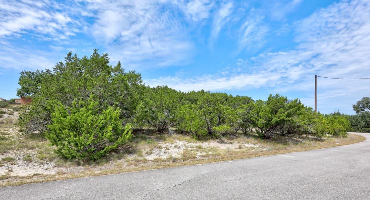 20801  Leaning Oak Dr photo 2