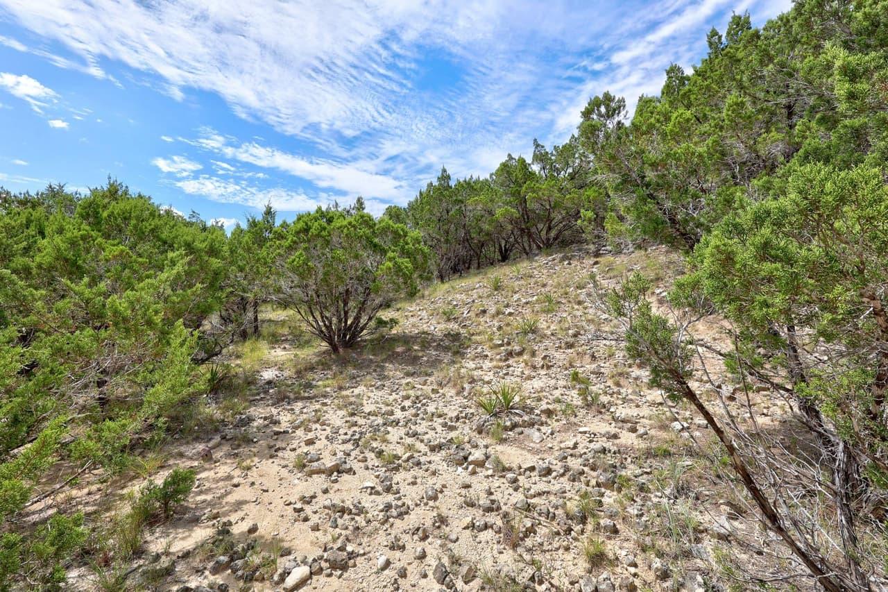 20801  Leaning Oak Dr photo 4