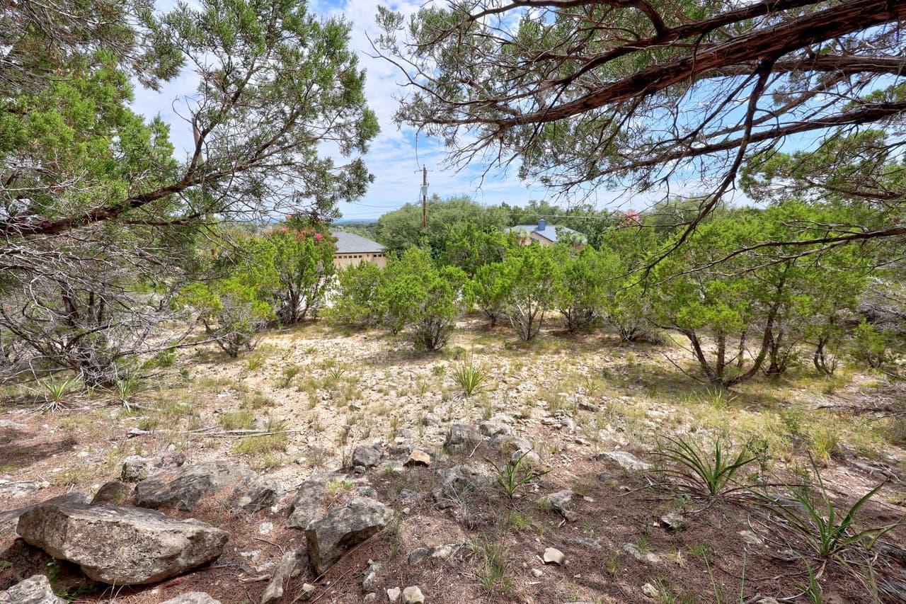 20801  Leaning Oak Dr photo 5