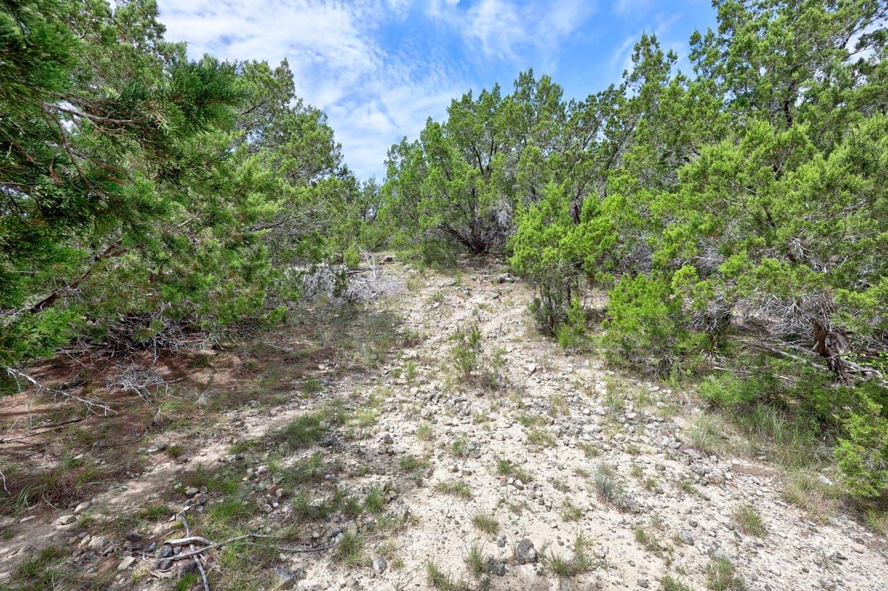 20801  Leaning Oak Dr photo 6