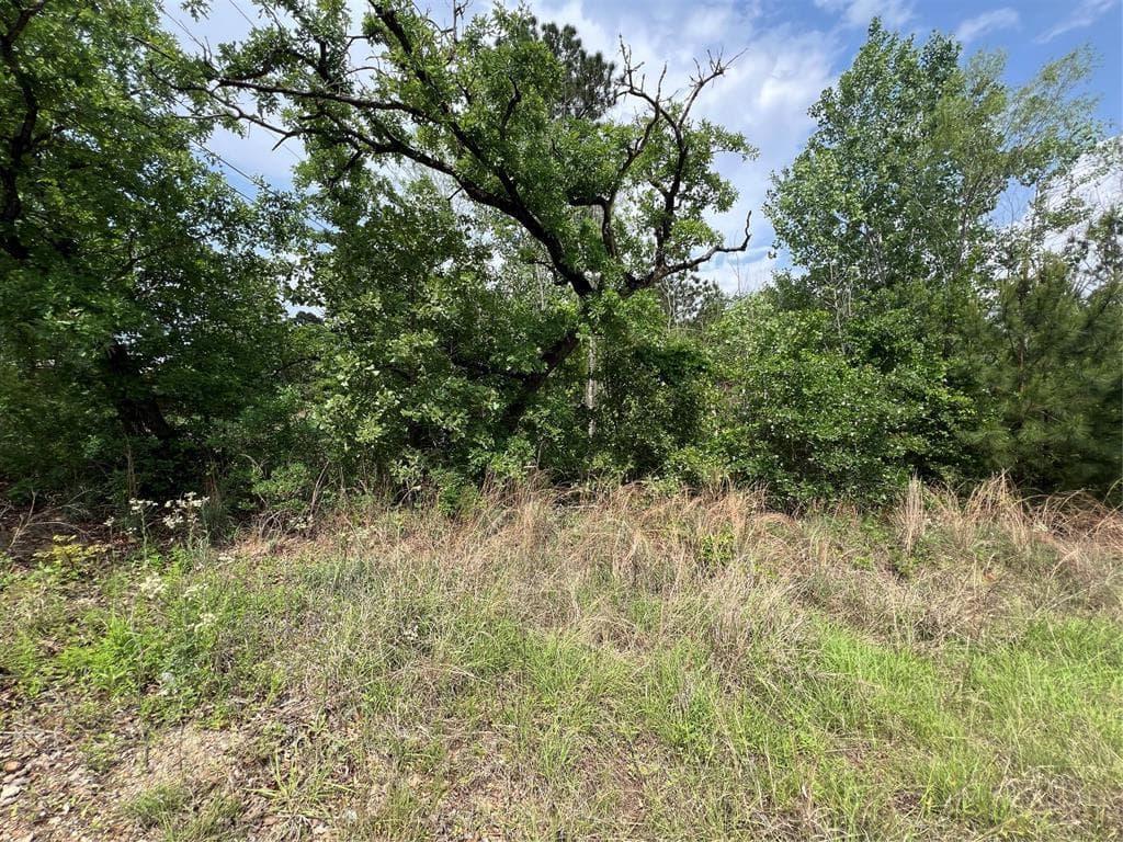 TBD  Monku Ct photo 5