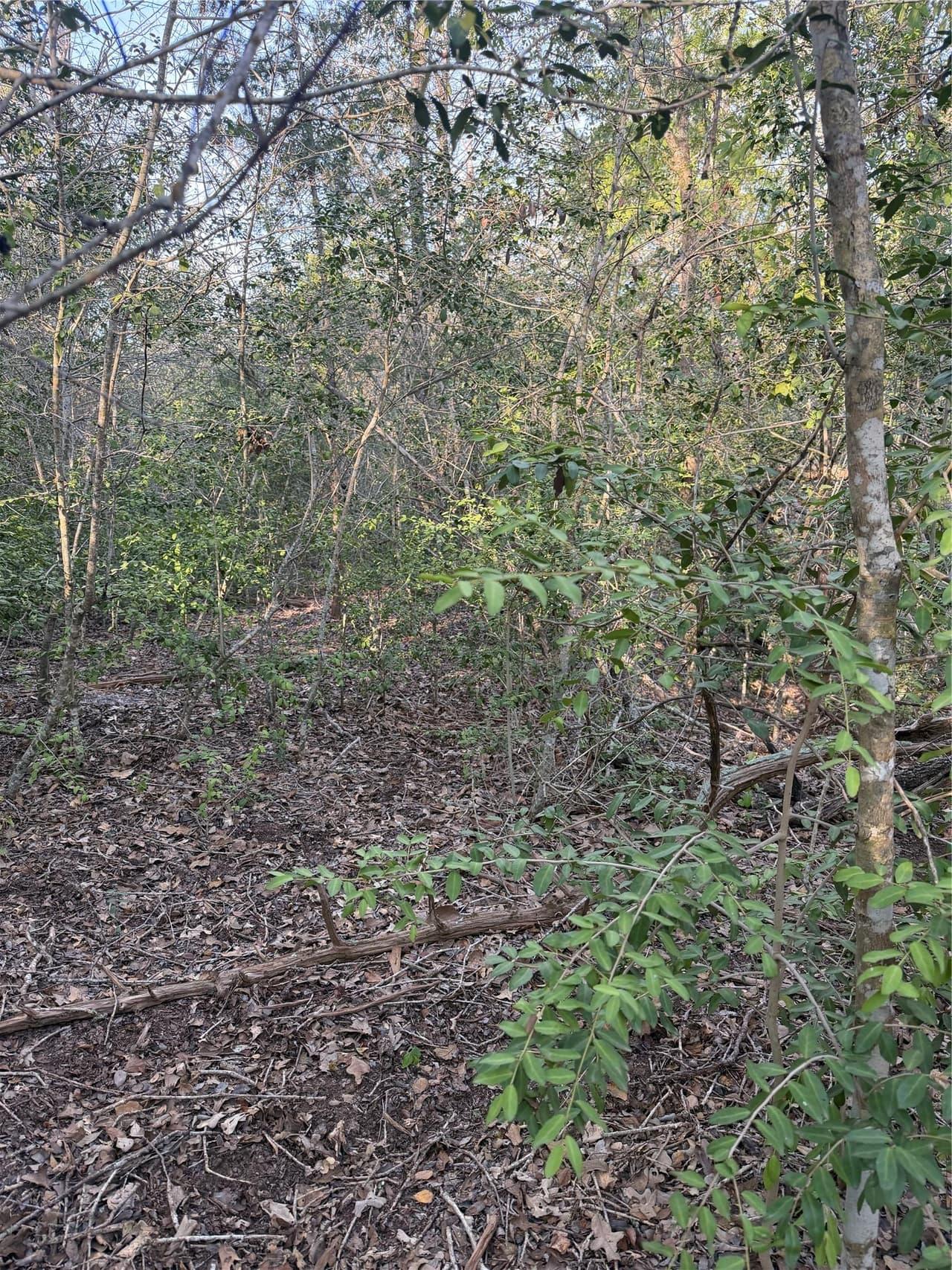 Lot 607  Waimanalo Dr
