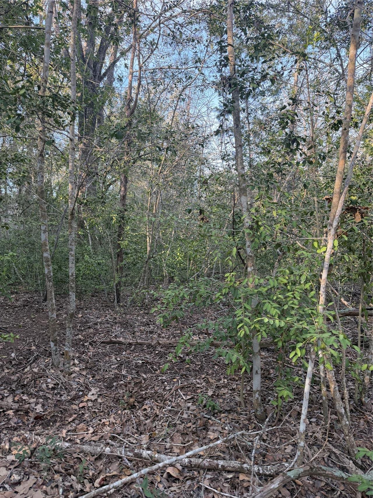 Lot 607  Waimanalo Dr photo 2