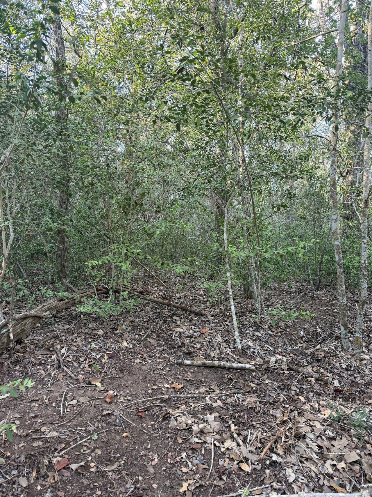 Lot 607  Waimanalo Dr photo 3