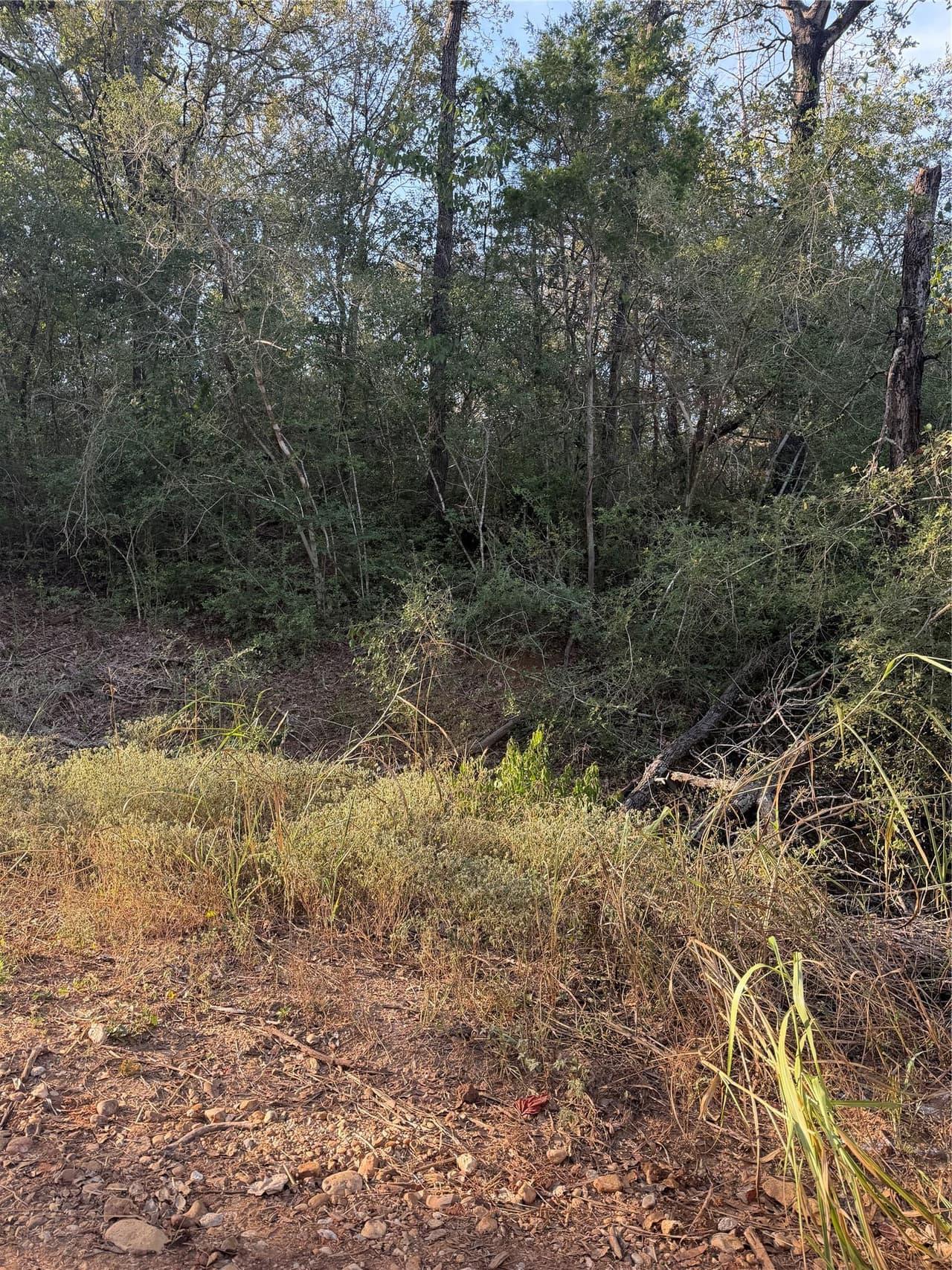Lot 607  Waimanalo Dr photo 5