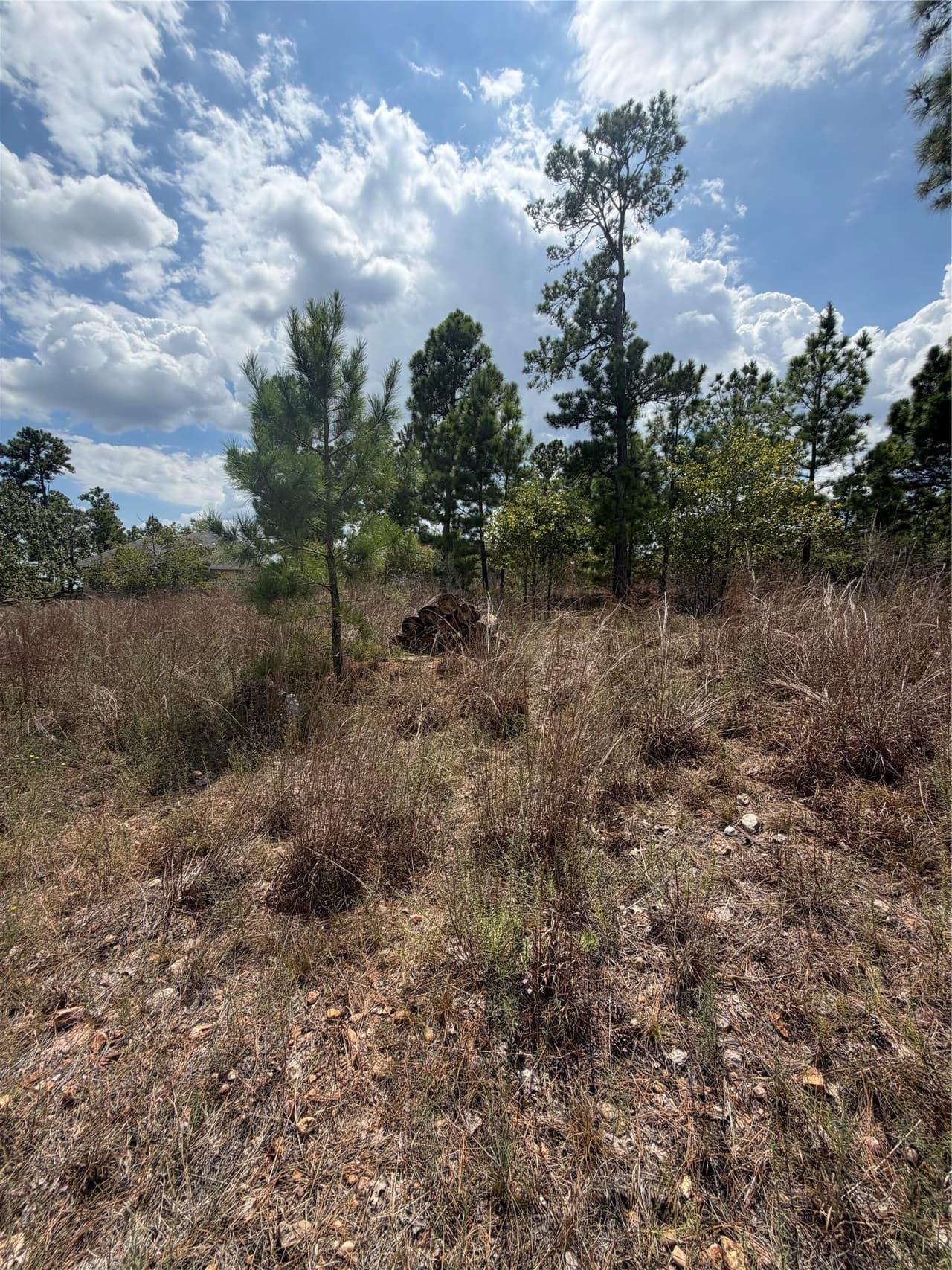 Lot 1189  Awehi Ln photo 3