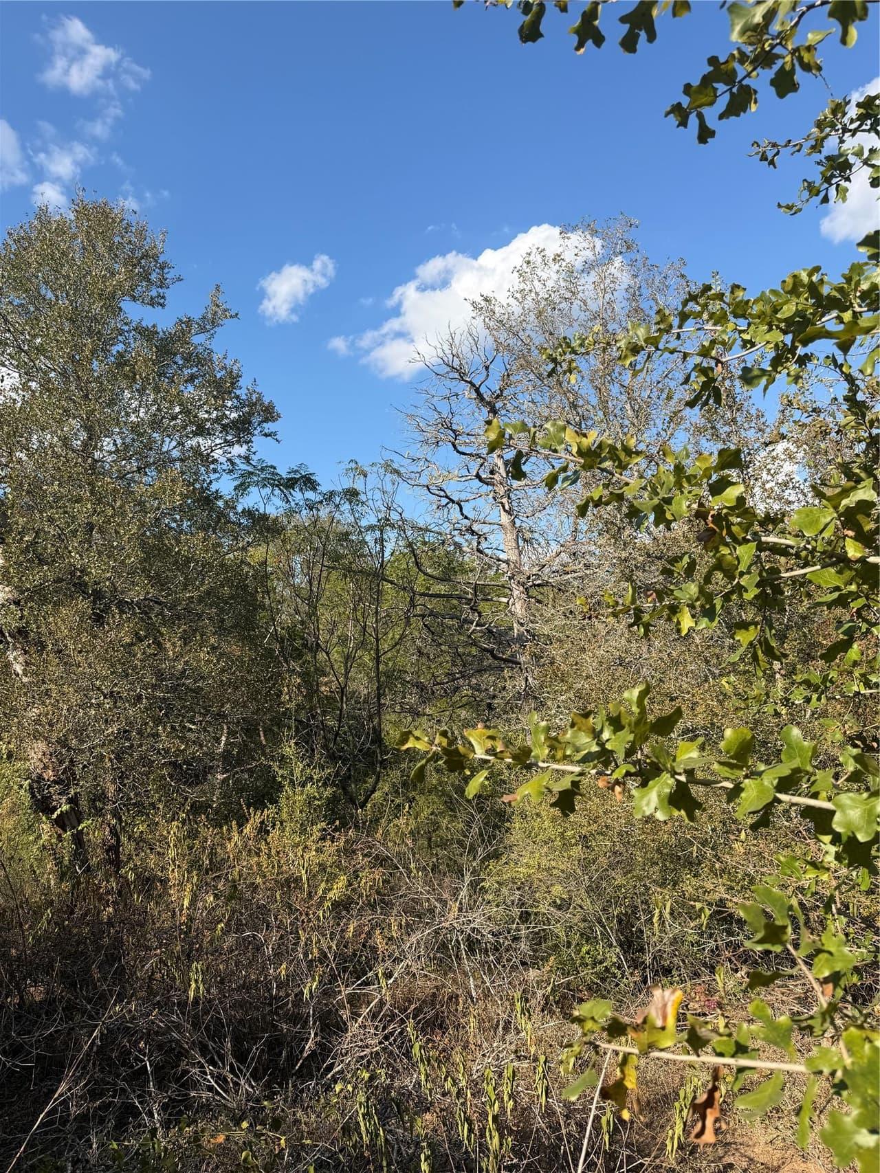 Lot 539  Palikea Cir