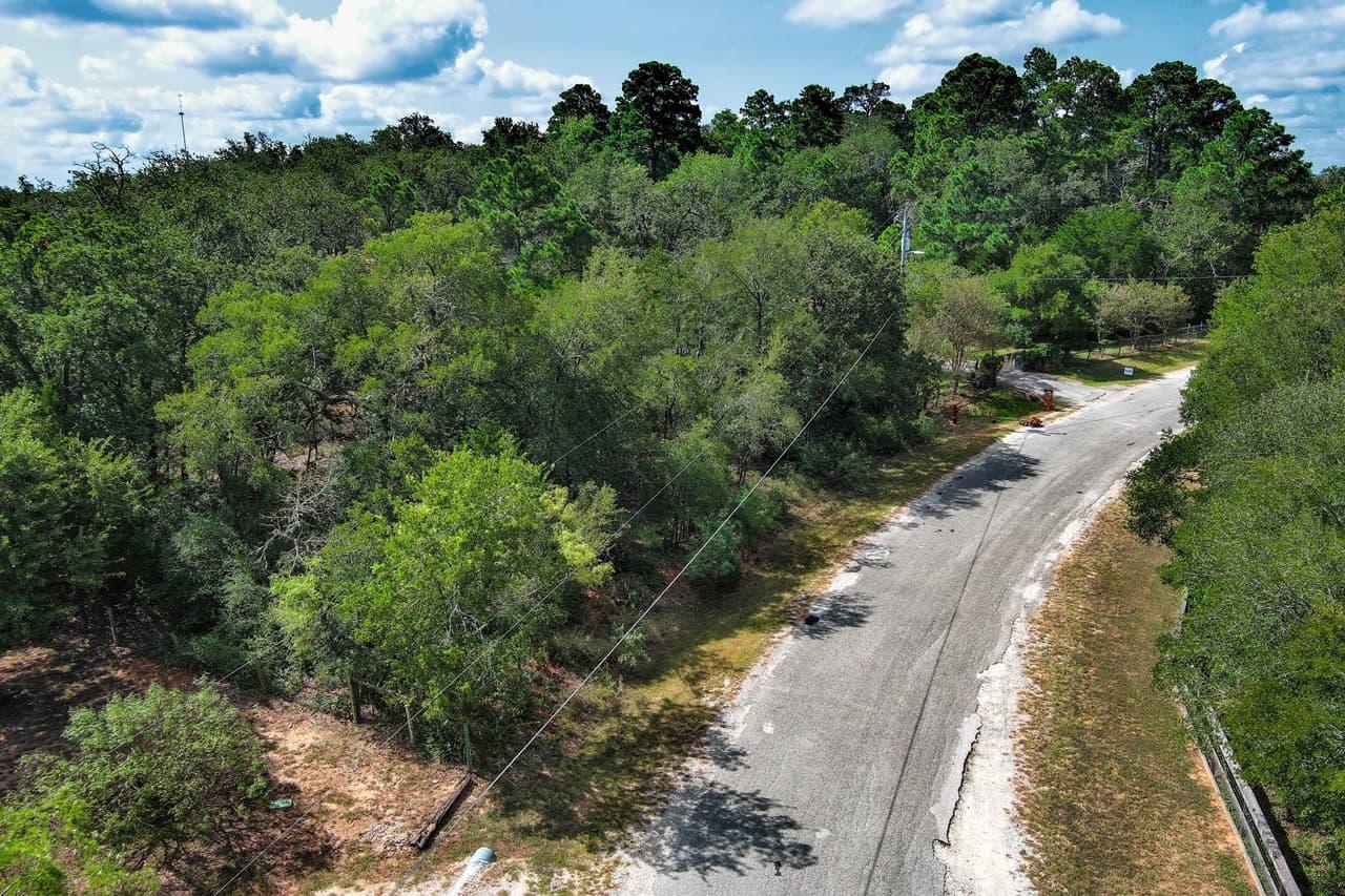 000  Piney Ridge Dr photo 6