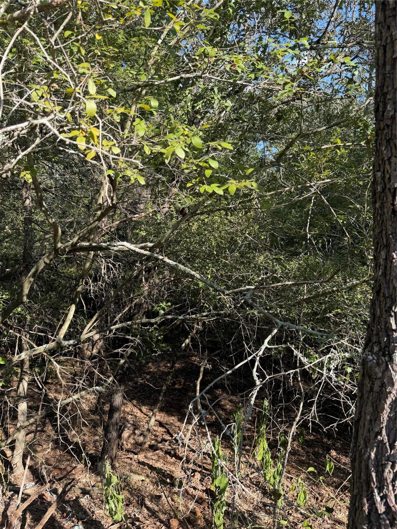 Lot 189  Kaelupulu Dr
