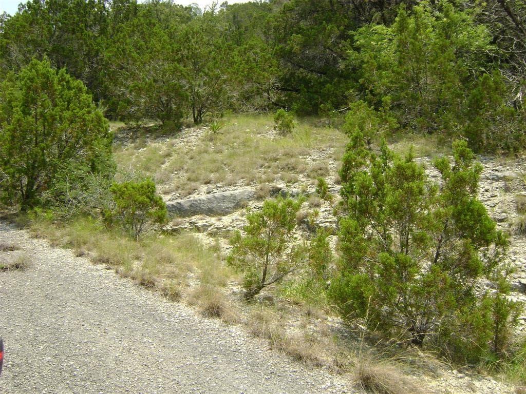 21207  Westward Ho Trl photo 4