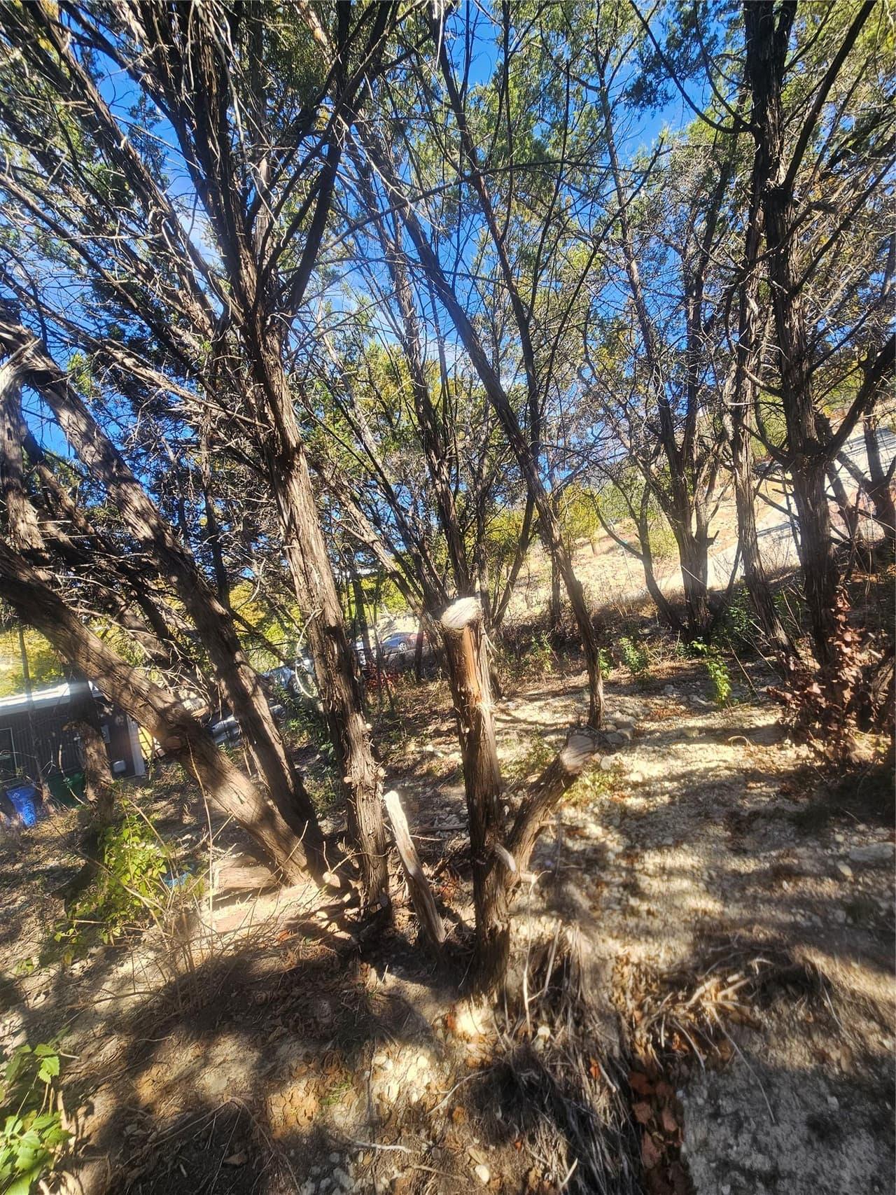 8316  Bronco Ln photo 3