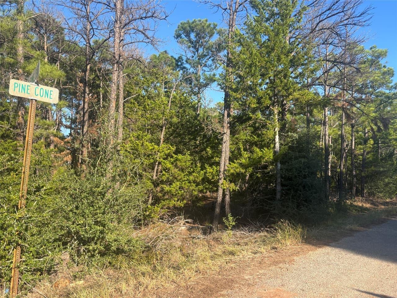 TBD  Pine Cone Dr photo 6