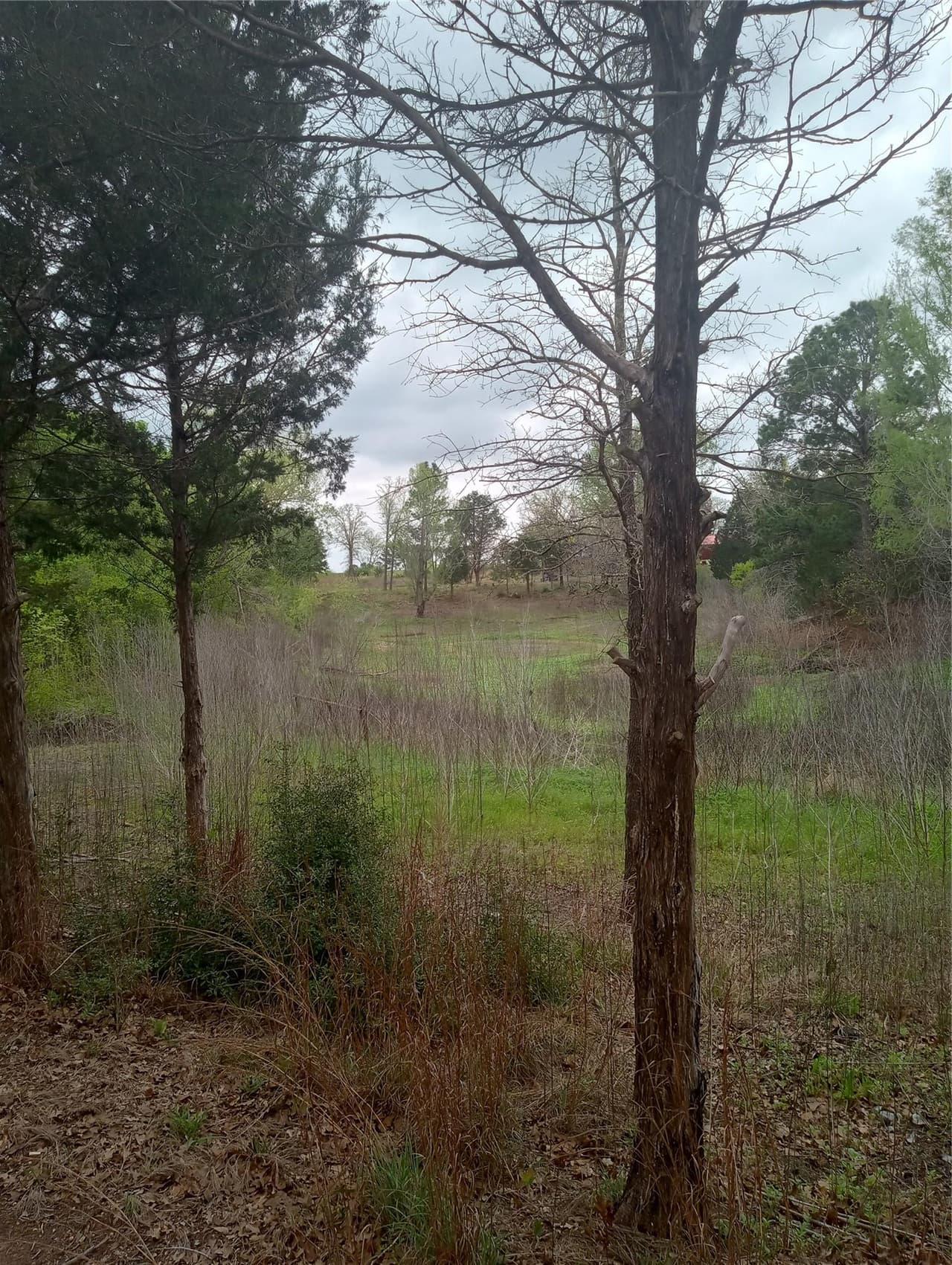 177  Moon Mist Dr photo 4
