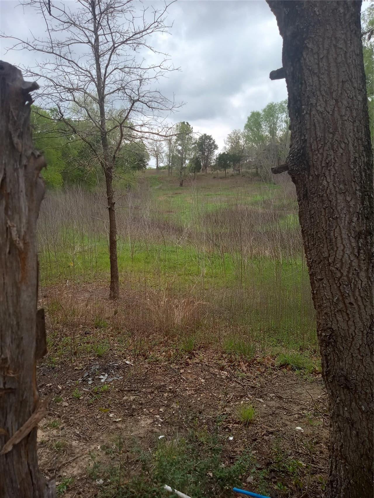 177  Moon Mist Dr photo 5